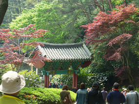 Colourful Foilage