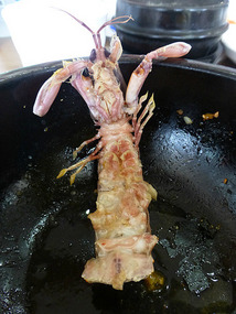 Hard Armoured Giant Shrimp