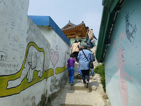 Narrow Pathway