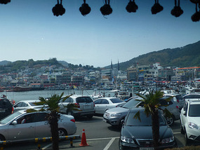 View from Bus