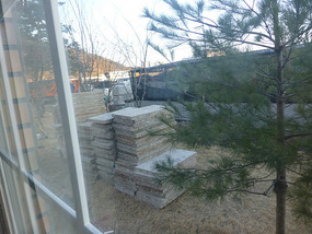 View from my Window