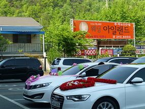 Waiting Newlywed Cars