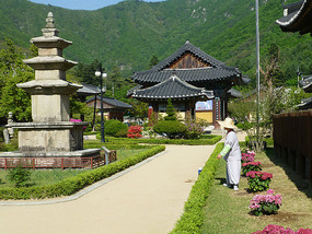 Female Monk Attends to Gardens