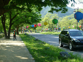 Rushing Back to Bus