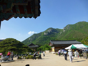 Span of Complex