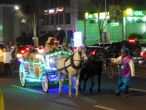 Horse and Carriage
