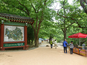 Entrance Pathway