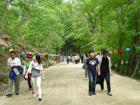 Leaving the Grounds