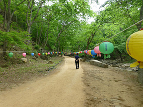 Pathway to Temple