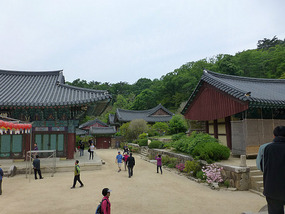Span of Complex