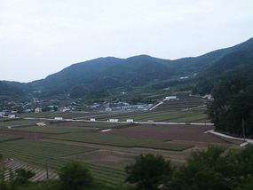 Farm Terraces