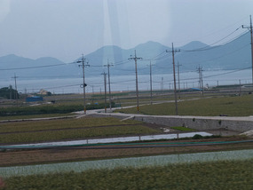 Passing Flat Farmlands