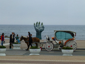 Horse and Cart Rides