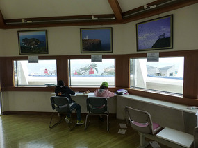 Viewing Gallery