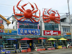 Guryeongpo Seafood Restaurants