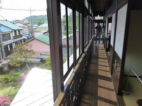 View from Upper Floor