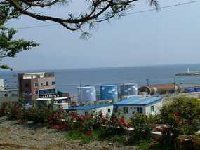 View of Harbour