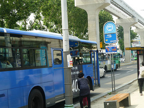 Bus Stop
