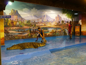Length of Crocodile