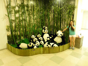 Pandas
