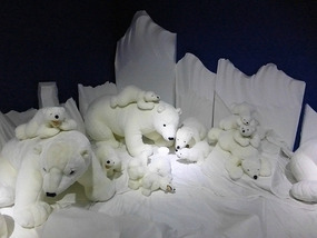 Polar Bears
