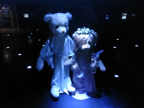 Starsign Display