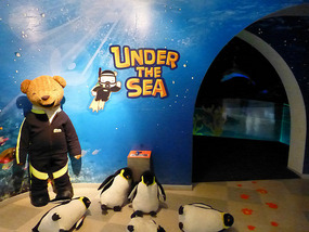 Under the Sea