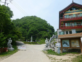 Leading into Compound