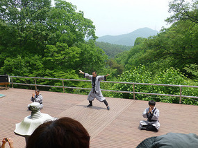 Martial Arts Finale