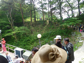 Watching from Adjacent Hill