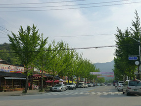 Back Down Tourist Street