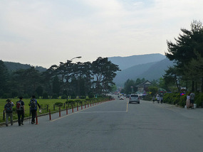 Rushing Back to Bus