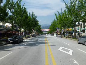 Scenic Walk to Songnisan
