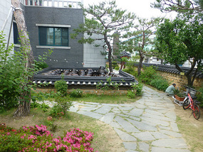Garden Landscaping