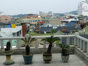 View from Terrace