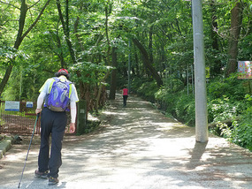 Start of Hiking Path