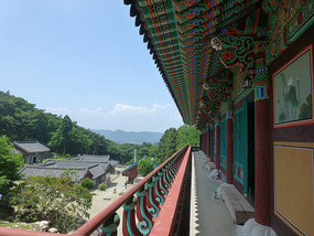 View from Terrace