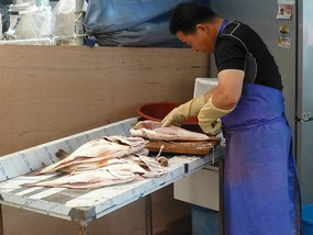 Gutting Fish