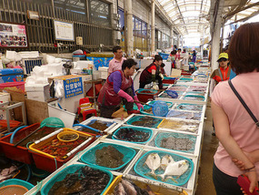 Live Fish Market