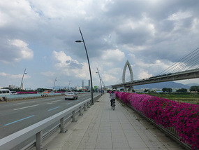 Biking Down the Paldal Bridge