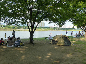 Camping and Picnicing 