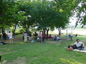 Resting in the Shade