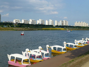 Row of Duck Rentals