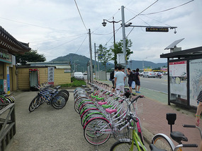 Return to Rental Shop
