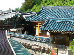 Colourful Roof Tiles