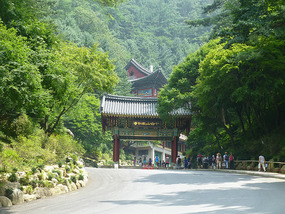 Entrance Roadway