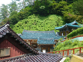 Rooftile Landscape