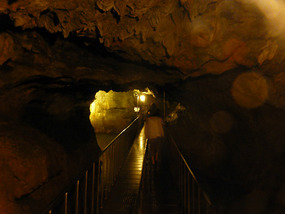 Damp Walkways