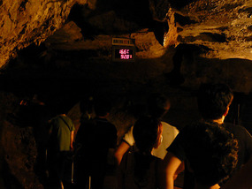 Interior Temperature