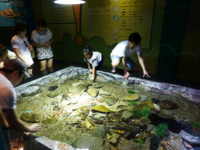 Touch and Play Area